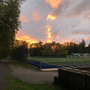 Meet your Posher, Lily